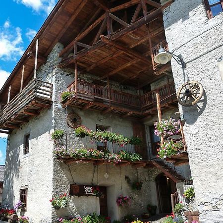 Agriturismo Barba Gust Cesana Torinese Zewnętrze zdjęcie