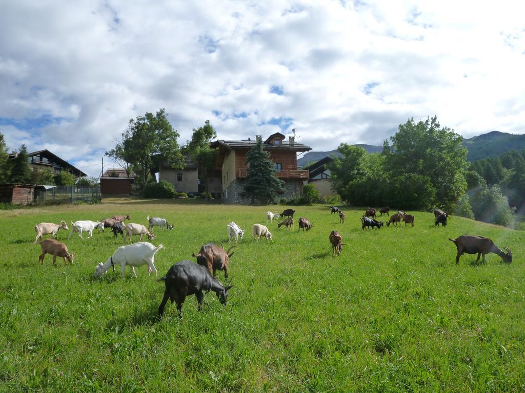 Agriturismo Barba Gust Cesana Torinese Zewnętrze zdjęcie