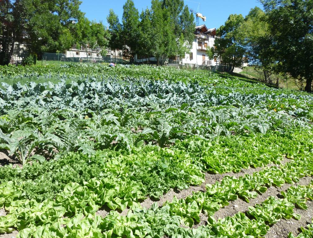 Agriturismo Barba Gust Cesana Torinese Zewnętrze zdjęcie