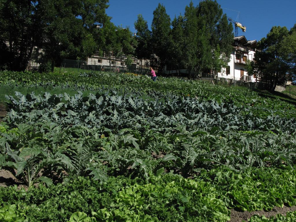 Agriturismo Barba Gust Cesana Torinese Zewnętrze zdjęcie