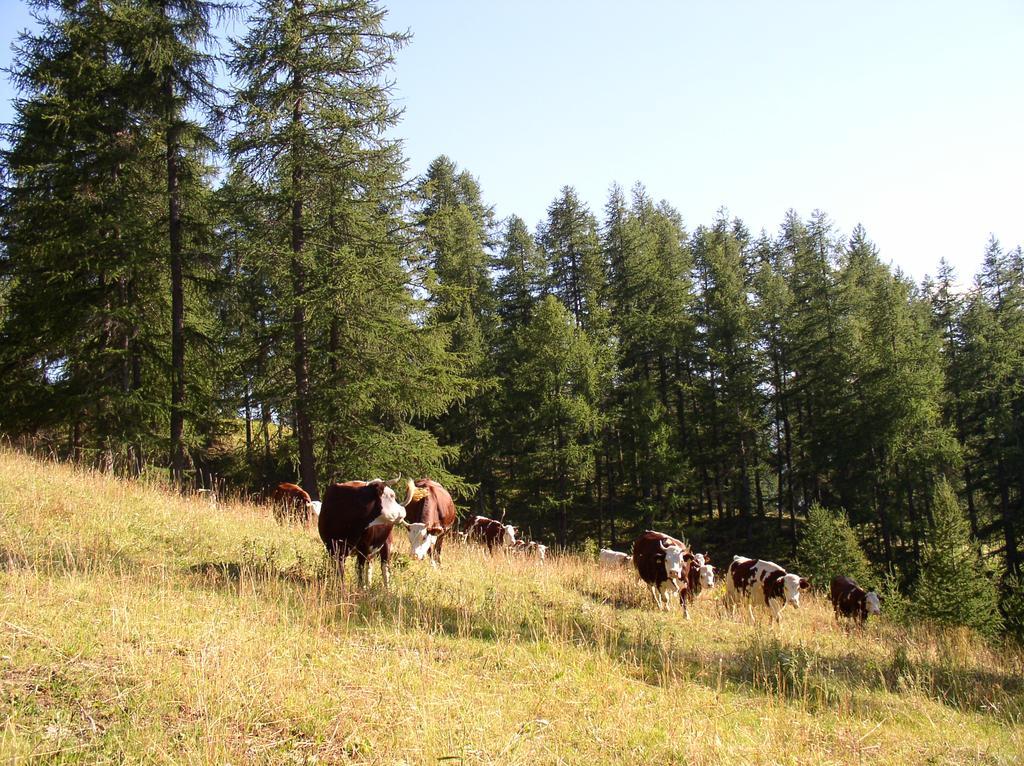 Agriturismo Barba Gust Cesana Torinese Zewnętrze zdjęcie