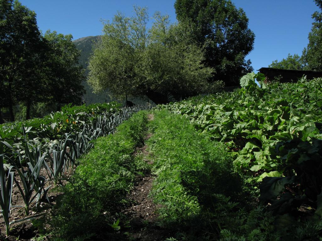 Agriturismo Barba Gust Cesana Torinese Zewnętrze zdjęcie