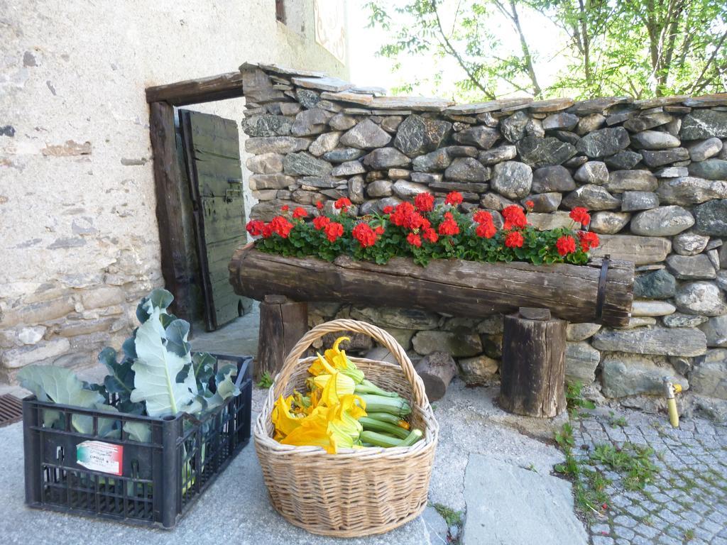 Agriturismo Barba Gust Cesana Torinese Zewnętrze zdjęcie